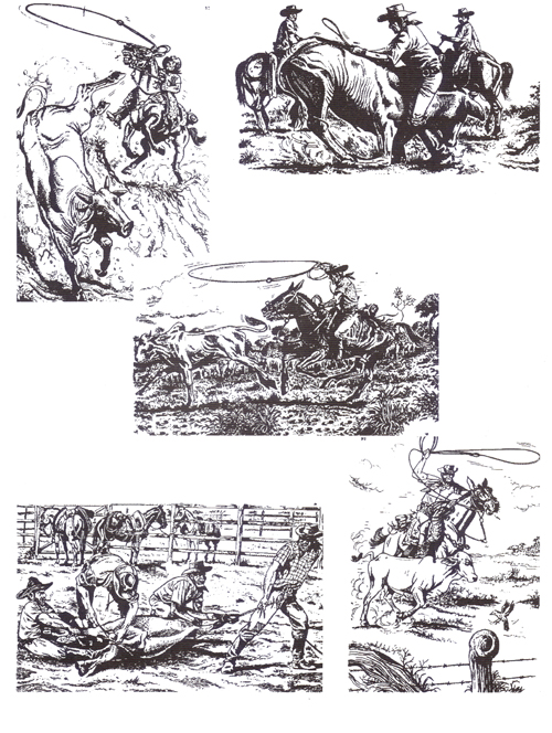 Desenho de Cavalo Tordilho Branco - Getúlio Victor